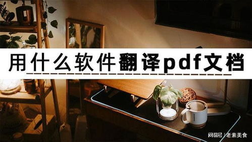 如何高效翻譯PDF文檔？三款人工智能軟件深度解析與應(yīng)用開發(fā)趨勢(shì)